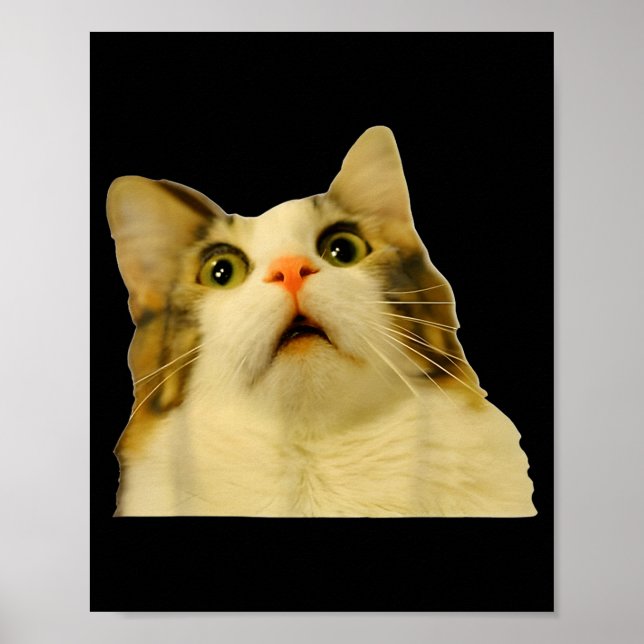 Poster Cat Meme Shock Cat Face Funny Meme Cat Silly Gift  (Frente)