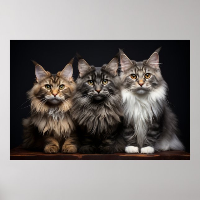 Poster Cat Pet Animal Retrait Nature Beauty (Frente)
