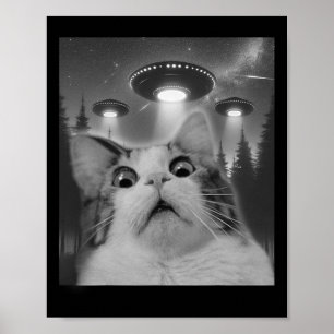 Poster Cat Selfie Com Ufos