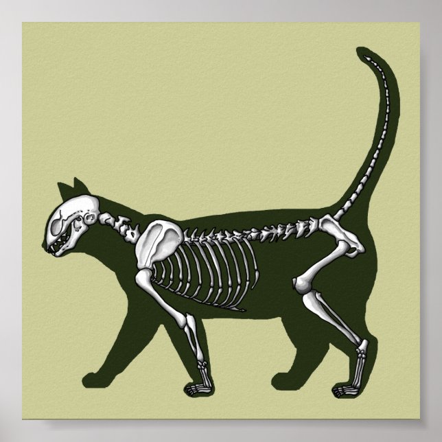 Póster Cat Skeleton (Frente)