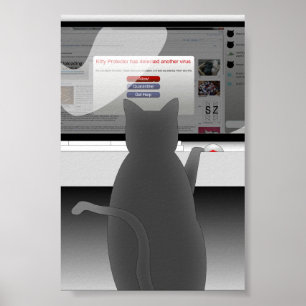 Póster cat-surfing-2011