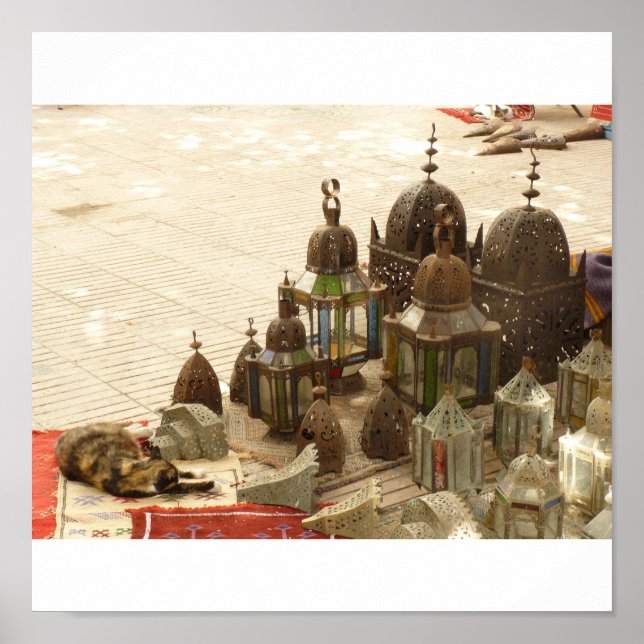 Póster Cat Vs Lanterna (Frente)