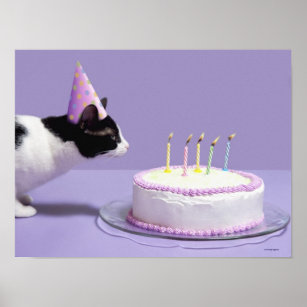 Poster Cat wearing birthday hat blowing out candles