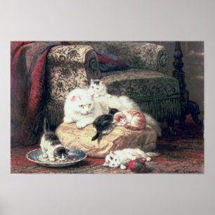 Poster Cat with her Kittens on a Cushion