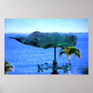 Póster Cata-Vento de Baleia Jubarte
