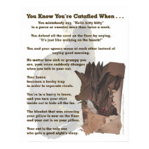 Catalisado. Só um amante de gatos entenderia.