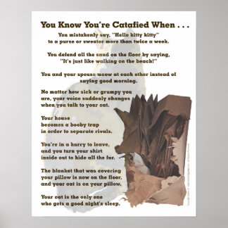 Poster Catalisado. Só um amante de gatos entenderia.