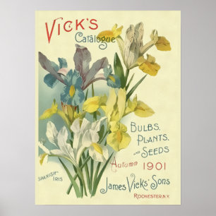 Poster Catálogo da semente 1901 & da planta de Vick do