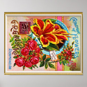 Poster Catálogo de Cobrir de Sementes 1896 Richmond India