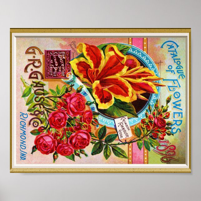 Poster Catálogo de Cobrir de Sementes 1896 Richmond India (Frente)