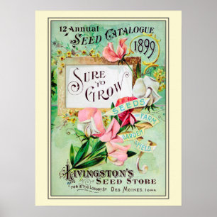 Poster Catálogo de Sementes de Flor de Vintage Gardening