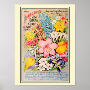 Poster Catálogo de Sementes de Flor de Vintage Gardening
