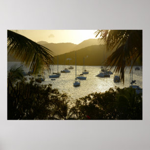Poster Catamarãs e veleiros