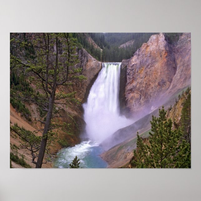 Poster Catarata inferior do Yellowstone, Grand Canyon do (Frente)