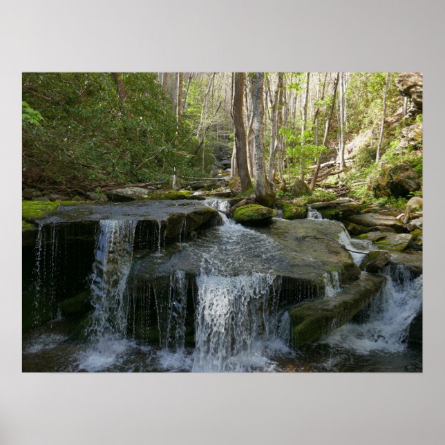 Poster Cataratas de Findlay I (Frente)