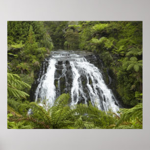 Poster Cataratas de Owharoa, Desfiladeiro de Karangahake,