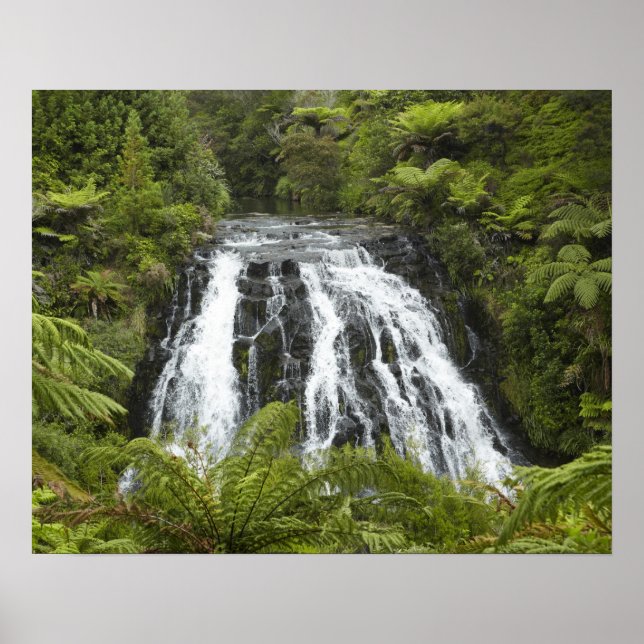 Poster Cataratas de Owharoa, Desfiladeiro de Karangahake, (Frente)
