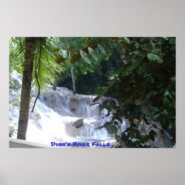 Poster Cataratas do Rio Dunn (Frente)