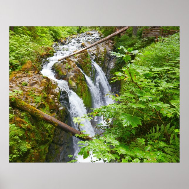 Poster Cataratas Sol Duc II no Parque Nacional Olímpico (Frente)