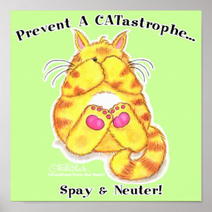 Póster Catástrofe