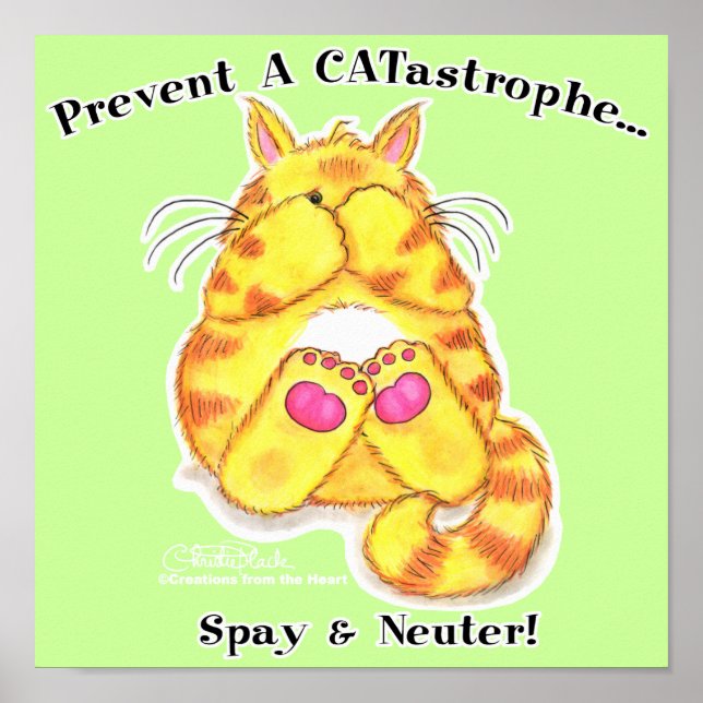 Póster CATastrophe (Frente)