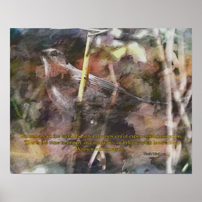 Poster Catbird com a citação de Vivek Wadwha (Frente)