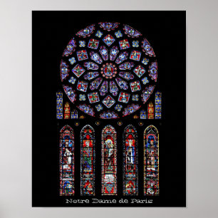 Poster Catedral de Notre Dame Rosa