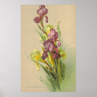 Poster Catherine Klein Vintage Litho Canvas de reprodução