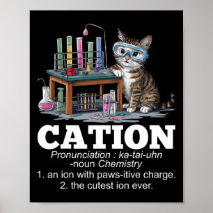 Poster Cation Chemistry Humor Science Professor Cat Pun D