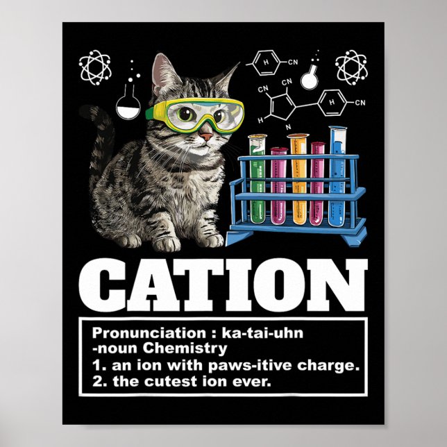 Poster Cation Chemistry Humor Science Teacher Cat Pun Cat (Frente)