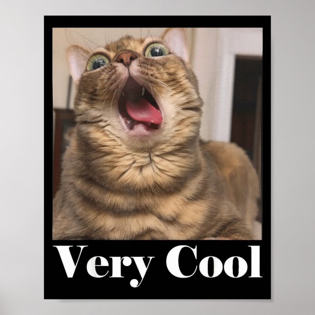 Poster Cats Meme Graphic Silly Cat Humor Funny Cat Very C (Frente)