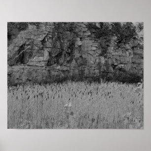 Póster Cattails da parede da pedreira de rocha 1