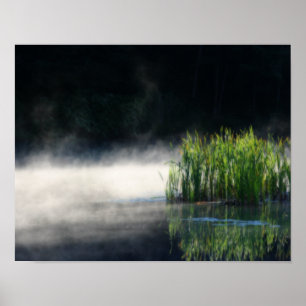 Poster Cattails Na Cintura De Uma Arte De Orton Pond