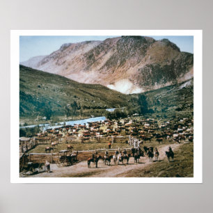 Póster Cattle Ranch, Colorado, 1899 (foto)