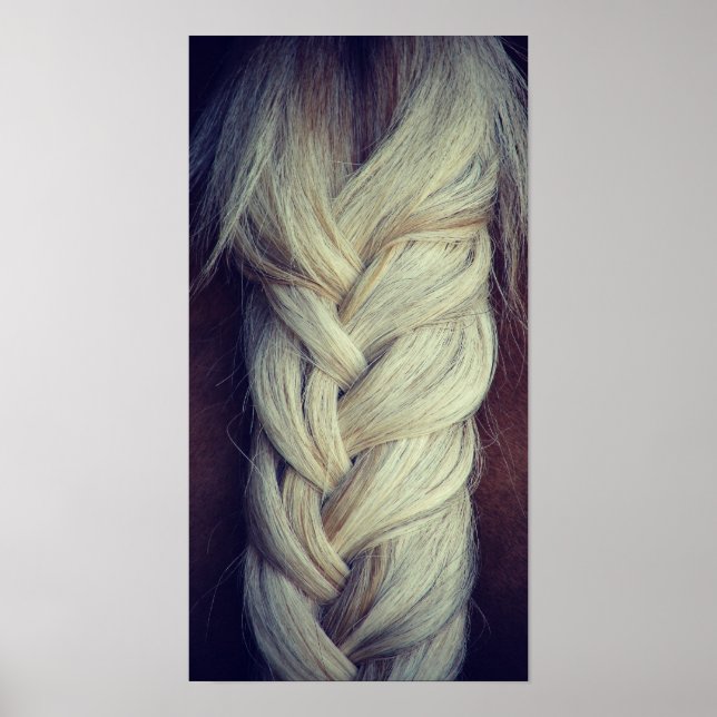 Póster Cauda Braçada (Frente)