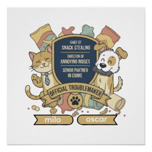 Póster Causador Oficial de Problemas   Parceiros Divertid