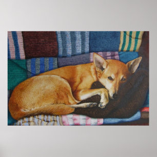 Póster causar dor misturado german shepherd do cão da
