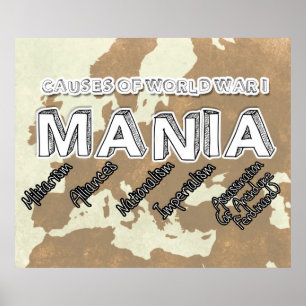 Poster Causas da Primeira Guerra Mundial