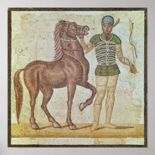 Poster Cavaleiro do cavalo em cores de competência