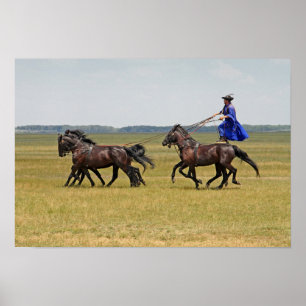 Poster Cavaleiro húngaro