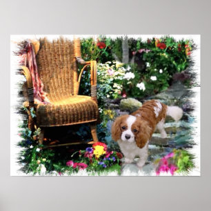 Póster Cavaleiro Rei Charles Spaniel Art