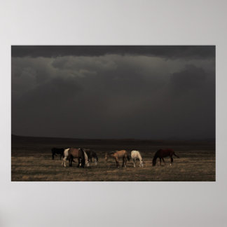 Póster Cavaleiros Da Tempestade