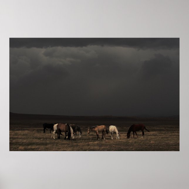 Póster Cavaleiros Da Tempestade (Frente)