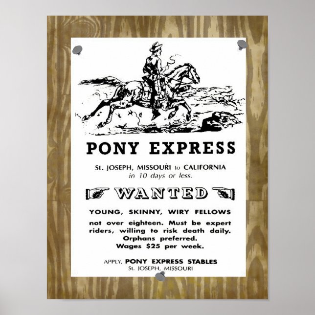 Póster Cavaleiros Expressos de Pony West Wild (Frente)