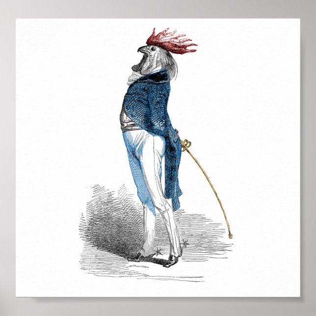 Póster Cavalheiro de galo (Frente)