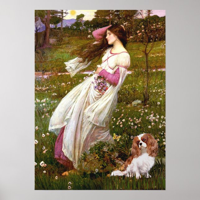 Poster Cavalier 2 (Bl) - Windflowers (Frente)