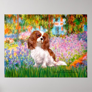 Poster Cavalier King Charles (Blenheim) - Jardim