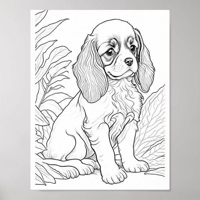 Poster Cavalier King Charles Dog Colour (Frente)