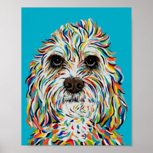 Poster Cavalier King Charles Spaniel