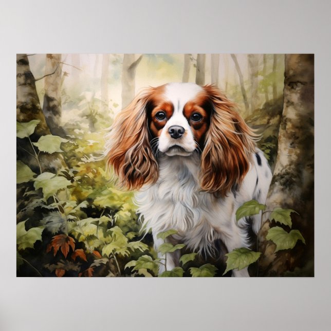 Poster Cavalier King Charles Spaniel (Frente)